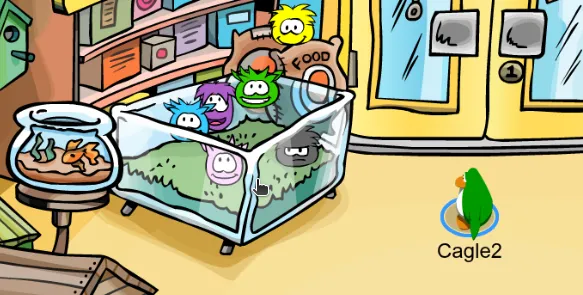 Description of this image